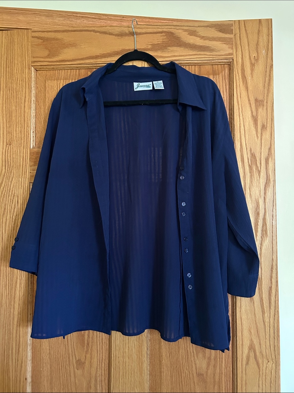 Navy Sheer Striped Button-Down Shirt
